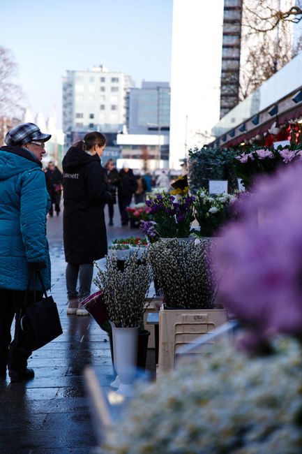 A bustling outdoor flower market with various floral arrangements and bouquets displayed in white vases and crates, featuring a mix of fresh flowers including white baby's breath, purple asters, and p